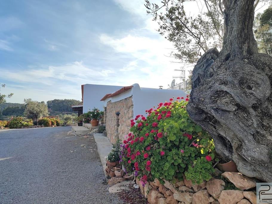 Casa Can Lluc Con Piscina, Jardin Y Vista Al Campo Sant Miquel de Balansat Εξωτερικό φωτογραφία